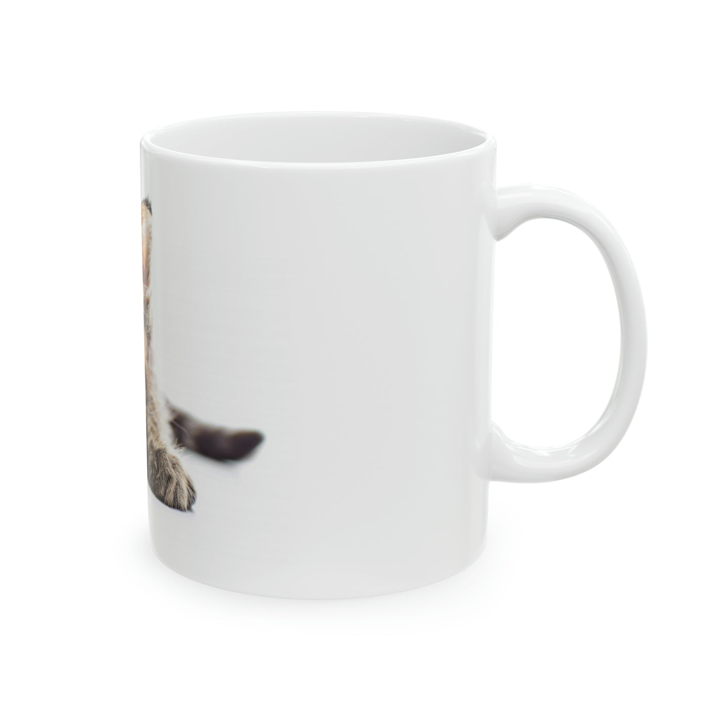 Cat Fluffy Friend Ceramic Mug 5 (11oz/0.33L)